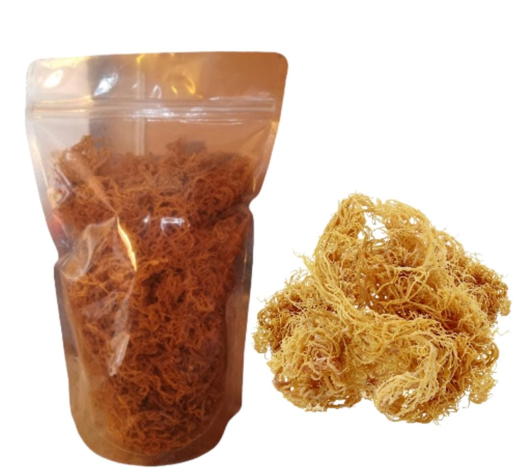 Raw Gold Sea Moss