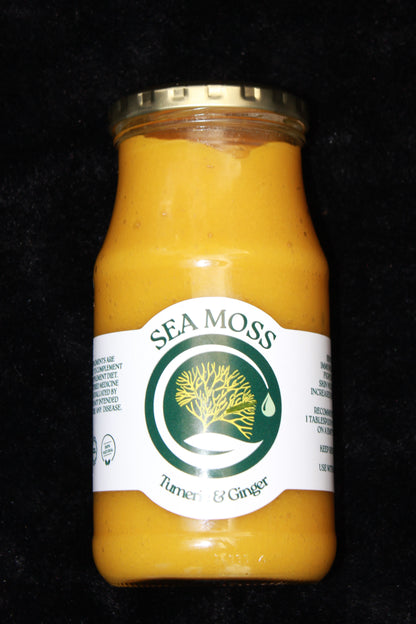 Sea Moss Winter Booster Gel